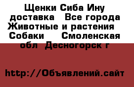 Щенки Сиба Ину доставка - Все города Животные и растения » Собаки   . Смоленская обл.,Десногорск г.